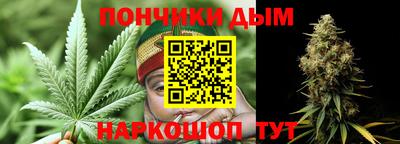 индика Краснознаменск