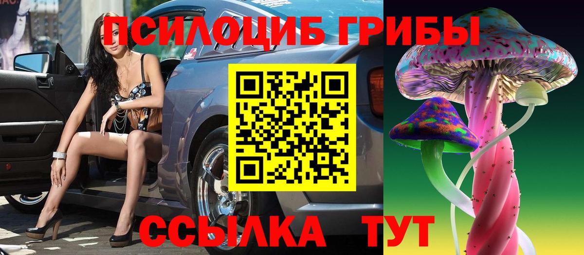 где найти   Галлюциногенные грибы прущие грибы  Вход с VPN  Кириши 
